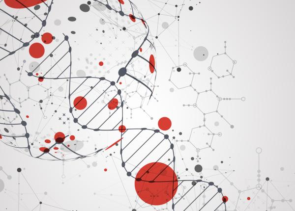 longevitatea varful de lance al cercetarii actuale