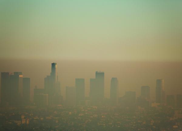 aerul poluat reduce dramatic durata de viata