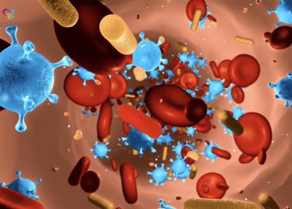 congresul national de medicina a stilului de viata mancarea este informatie iar alimentatia ne influenteaza genetic