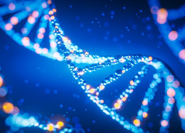 cercetatorii au descoperit un nou tip de celula imunitara care poate sa atace cancerul