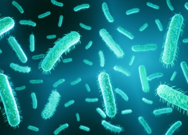 superbacteriile rezistente la antibiotice ar putea ucide mai multi oameni decat pandemia