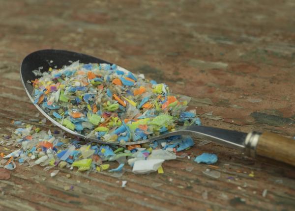 cauzeaza microplasticele autism ce indica cele mai recente dovezi