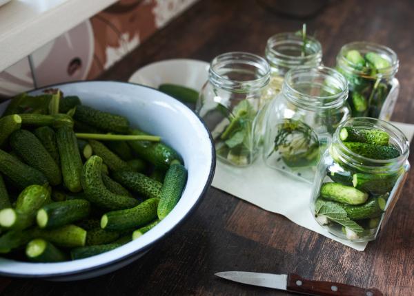 alimentul minune care se pregateste toamna