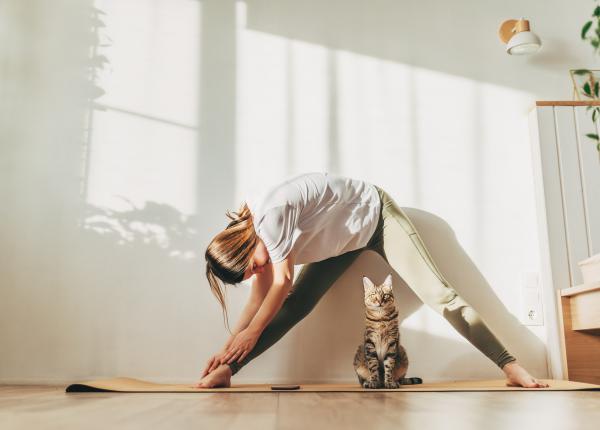 regulile sportului dupa 40 de ani cum sa faci miscare pentru a ti mentine sanatatea