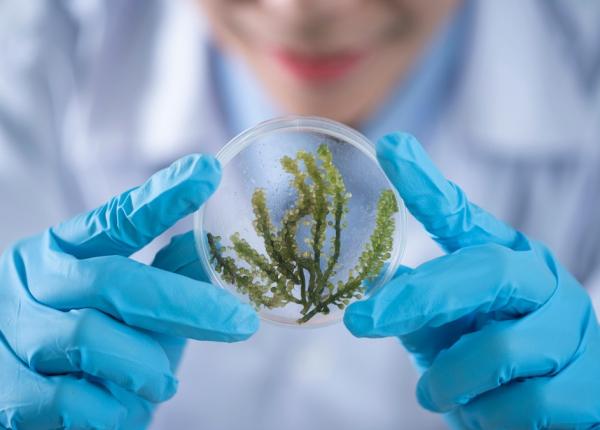 cum a inceput viata pe pamant o molecula ar putea detine raspunsul