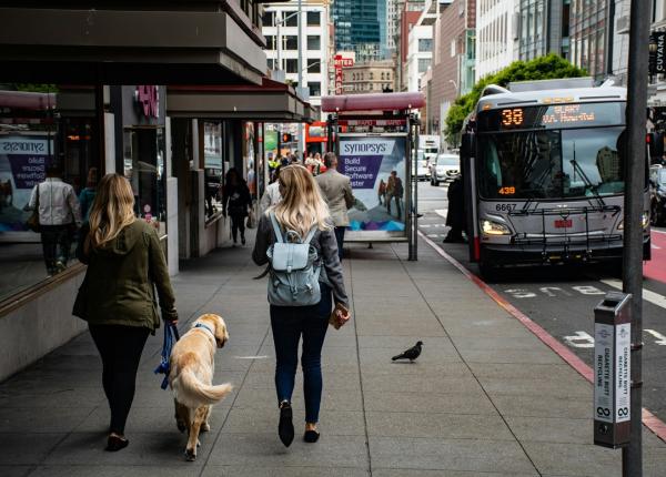 mitul celor 10 000 de pasi cercetatorii dezvaluie numarul real pentru o viata sanatoasa