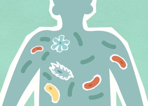 vrei sa fii metabolic sanatos un nou studiu arata beneficiile imbunatatirii sanatatii intestinale